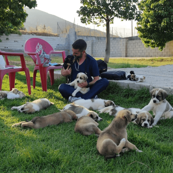 Pablo Vet veterinario con muchos perros
