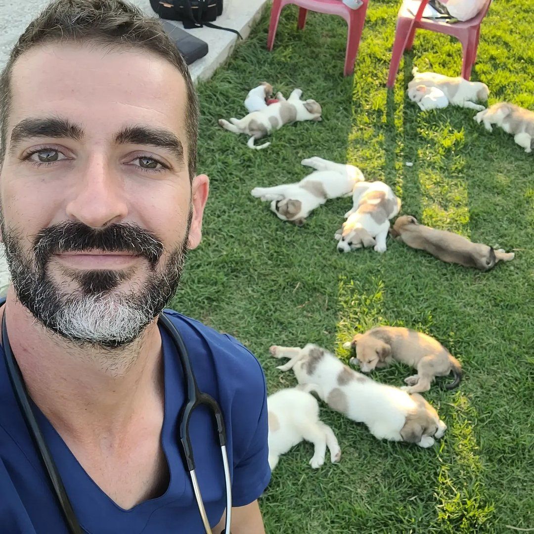 Pablo Vet veterinario con perros